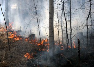 Фотография предоставлена http://alshevskix.livejournal.com