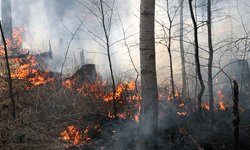 Весна-2011: Свердловская область горит уже III классом. Фотография предоставлена http://alshevskix.livejournal.com