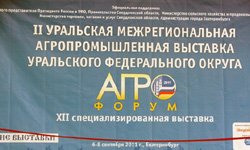 «СельхозЭкспо»: площадку «Иннопрома» задействовали под выставку достижений уральских аграриев