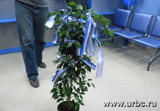 Все гости привязали ленточки к дереву исполнения желаний Все гости привязали ленточки к дереву исполнения желаний