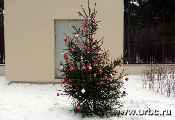 Ни один уголок двора не остался без новогодней атрибутики