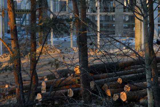 Фотография из Живого журнала пользователя boroda66rus (boroda66rus.livejournal.com) Фотография из Живого журнала пользователя boroda66rus (boroda66rus.livejournal.com)