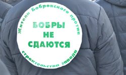 «Бобры» против «Умекона»:  выборы Владимира Путина на Урале под угрозой Фотография предоставлена Людмилой Сидоркиной