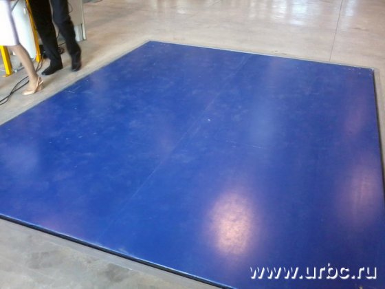 Грузовые весы зафиксировали вес официальной делегации: 735 кг