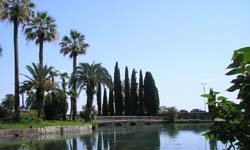 Нелетная погода