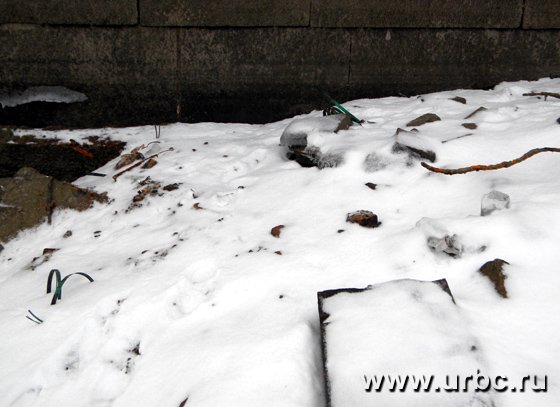 Дно городского пруда до сих пор усеяно мусором