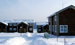 На Новый год — за город! Фотография с сайта http://www.whorse.ru