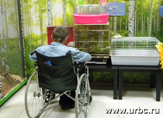 Кому-то нравится брать животных на руки и гладить, а кому-то — просто смотреть