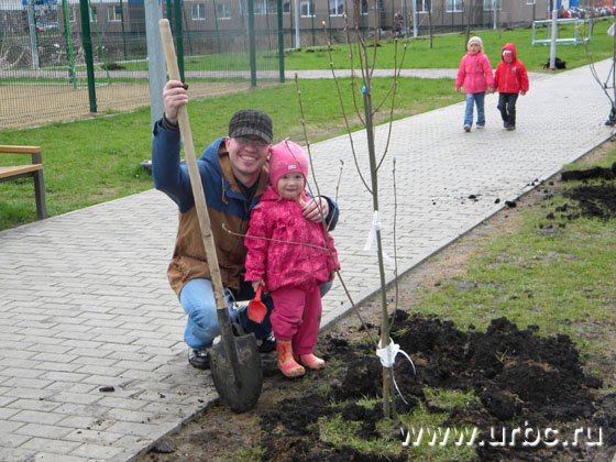 Жители Академического приняли участие в высаживании деревьев