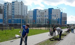 Зеленое строительство: новая аллея сегодня появилась в Академическом