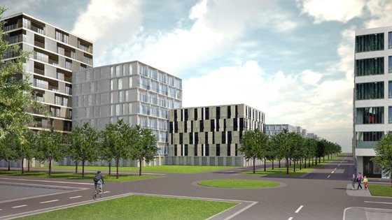 Изображение предоставлено пресс-службой администрации ГО Верхняя Пышма