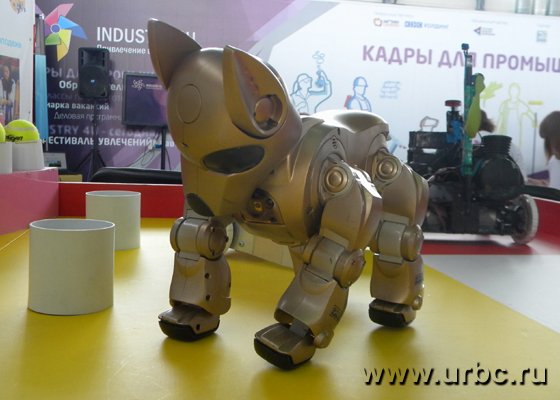 Еще один участник торжества Еще один участник торжества