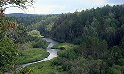 Отпускные чеки: как правительство хочет заставить народ отдыхать дома