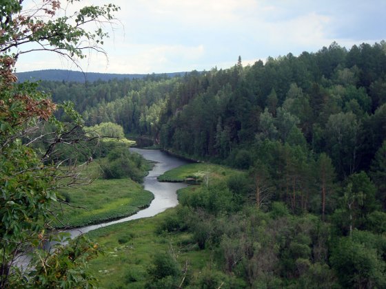 Отпускные чеки: как правительство хочет заставить народ отдыхать дома