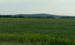 Земля не по назначению: власти пытаются решить «больную» проблему мегаполисов и регионов