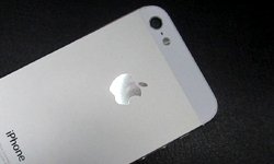 Приложение-шаблон: рынок мобильной разработки