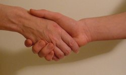 «Губернский» совершил удачное «Открытие». Фотография предоставлена сайтом www.morguefile.com