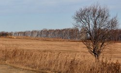 Кадастровый тупик