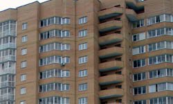 Комариный укус