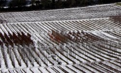 Прозрение: Свердловская область из-за просчетов чиновников останется без кормов и семян Фотография предоставлена сайтом www.morguefile.com