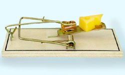 Замкнули на пирамиде: экономический кризис толкает людей к мошенникам. Фотография предоставлена сайтом www.morguefile.com