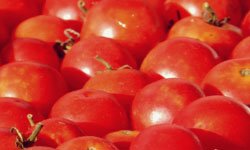 Помидоры стали не по карману. Фотография предоставлена сайтом www.morguefile.com