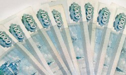 Подсчитали убытки