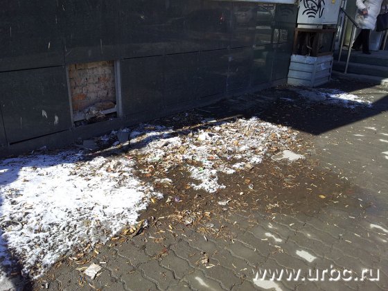 Смесь окурков, листьев и грязи стали обычным явлением для ул. Щорса