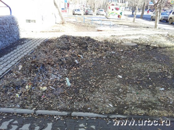 Часть территории убирается собственниками магазинов, но этого недостаточно