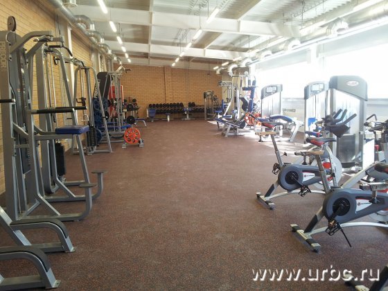 Благотворительный фонд «Общество Малышева 73» принял участие в открытии ДЮСШ «Спартаковец» Благотворительный фонд «Общество Малышева 73» принял участие в открытии ДЮСШ «Спартаковец»