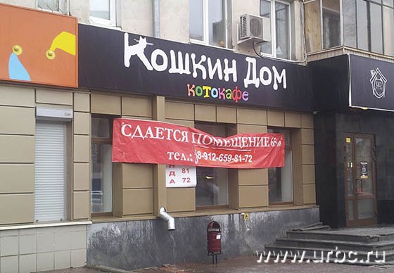 Котокафе не приобрело такой популярности, как на родине в Японии, поэтому закрылось через год после открытия Котокафе не приобрело такой популярности, как на родине в Японии, поэтому закрылось через год после открытия