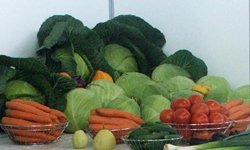 Вперед в прошлое: фермеров заменят дачники