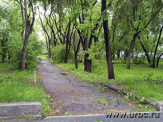 Обновленный парк в центре города