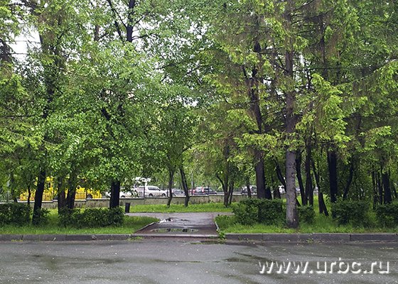 Обновленный парк в центре города