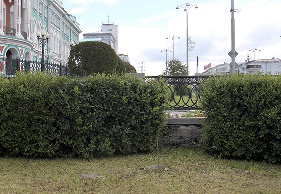 Фотографию предоставило «Общество Малышева 73»