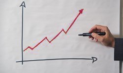 Доллар за 100 рублей. Фотография предоставлена сайтом www.morguefile.com