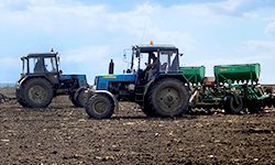 Параллельный мир уральского фермера