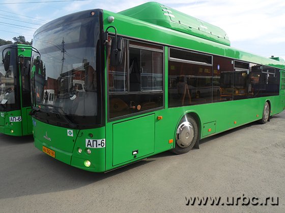 Цвет для новых автобусов определили сами жители Екатеринбурга