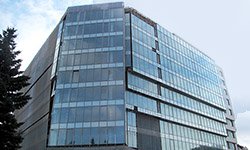 Нулевые перспективы