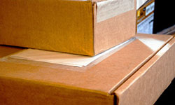 Удар по онлайн-покупателям. Фотография предоставлена сайтом www.morguefile.com