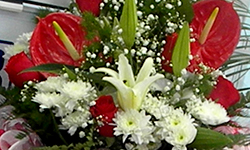 «Отцветающий» бизнес