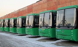 «НефАЗы» в городе