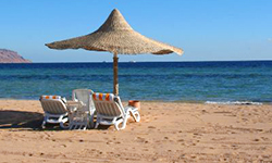 Египет: Крушение иллюзий. Фотография предоставлена сайтом www.morguefile.com