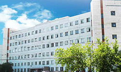 Челябинская «дочка» УВЗ проведет конверсию. Фотография с сайта npoelm.ru