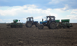 Конец импортозамещения