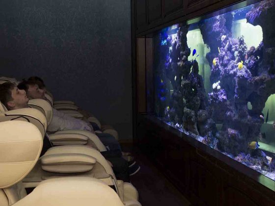 Фотография предоставлена компанией «Сима-ленд»