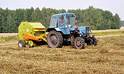 Жара погубит урожай