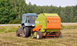 Усохший урожай