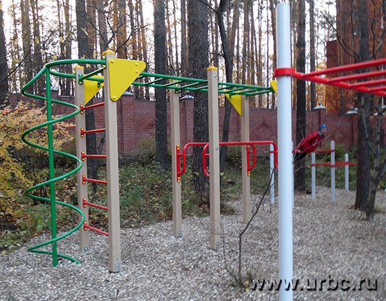 На площадке для занятий воркаутом расположены около десятка конструкций, среди которых турник, брусья, рукоход и другие