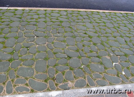 На улице Мехренцева пешеходный тротуар и двухполосная велодорожка разделены «псевдогазоном»